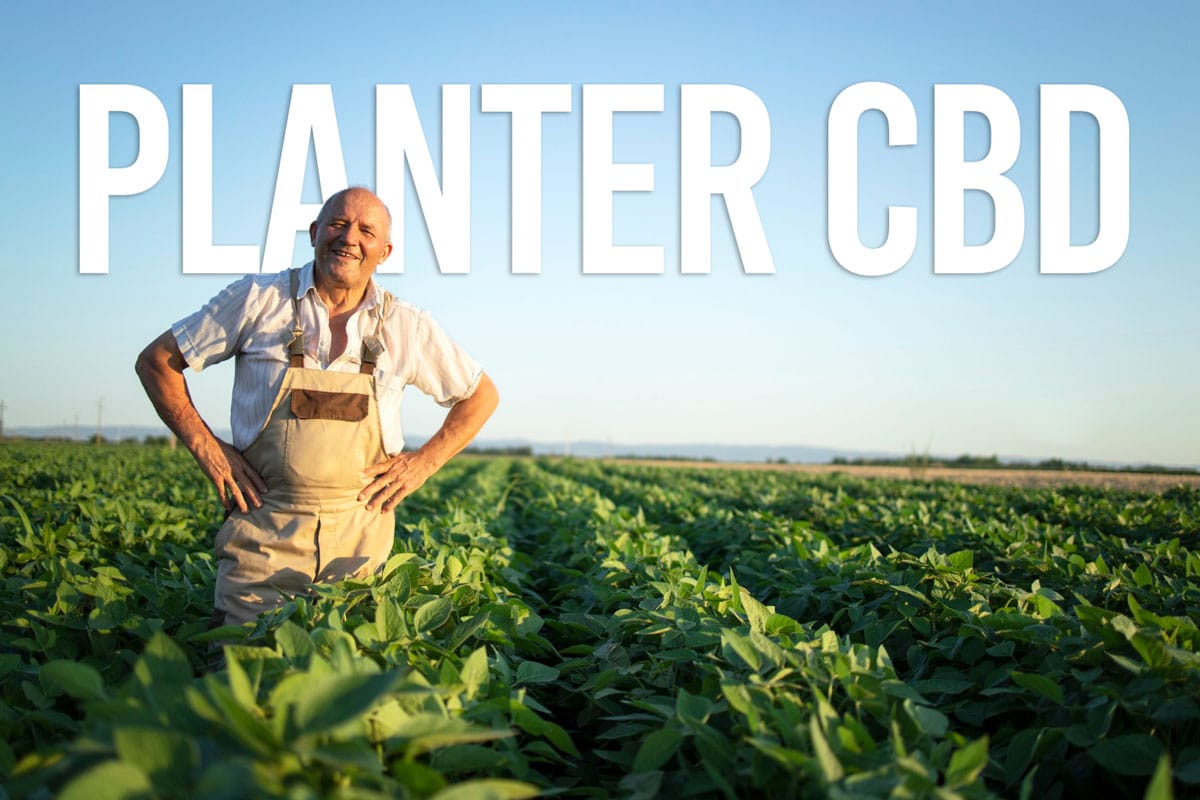 planter cbd