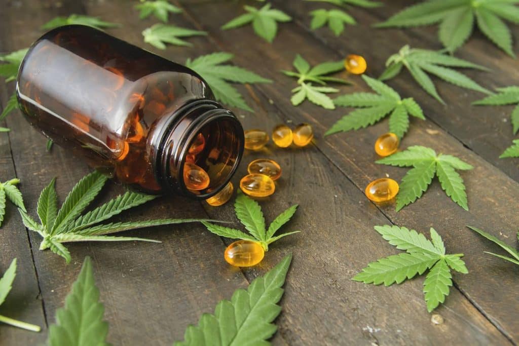 des gélules de CBD cannabidiol