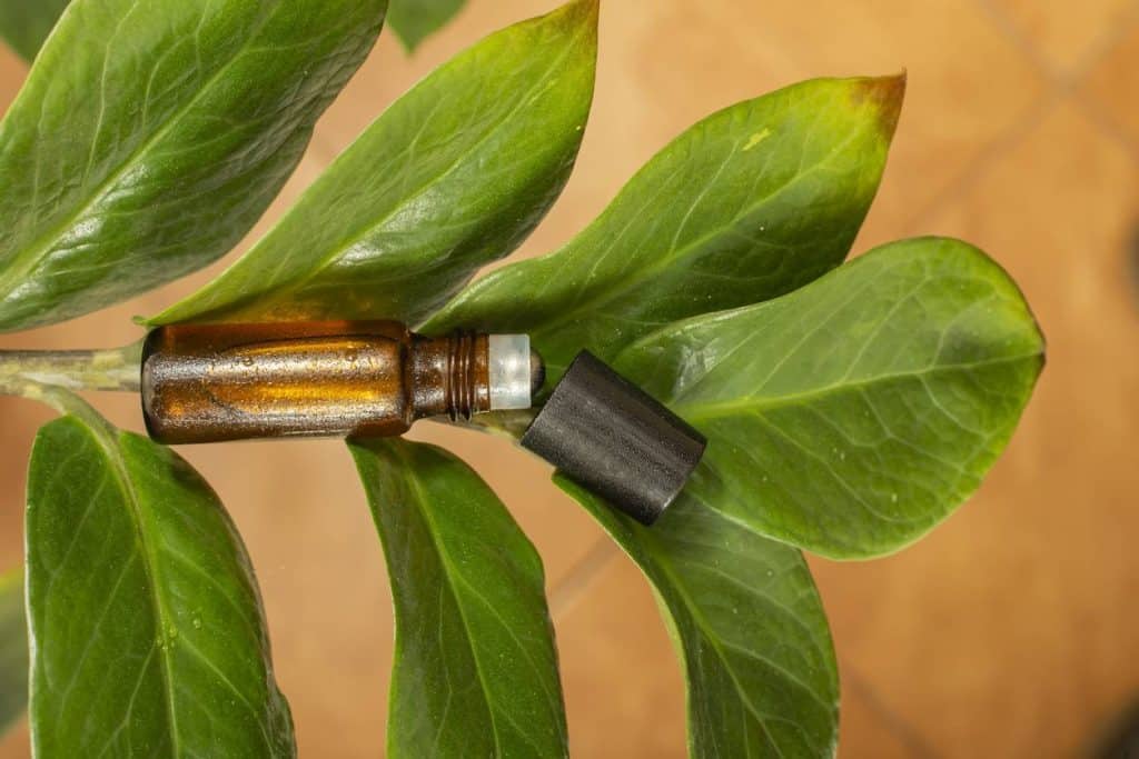 huile de massage à base de CBD
